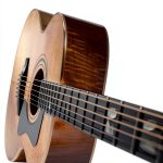 Hal Leonard Guitar Music Songbook Kindle Edition English-0