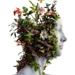 Teen Health Fitness eBook English Language September 2024-0