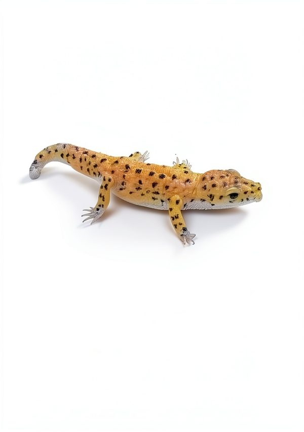 Hobby Miniatures Craft Guide English Kindle Book 16 Pages-0