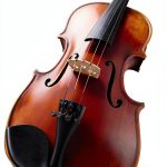 Hal Leonard Violin Songbook Digital Sheet Music Kindle-0