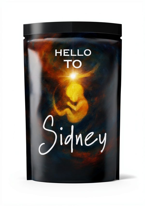 St Leo Press Teen Health eBook English Language 158 Pages-0