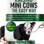 Hobby Miniatures Guide English Kindle Business Start-0