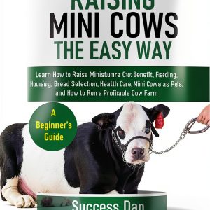 Hobby Miniatures Guide English Kindle Business Start-0