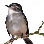 Teen Health Spanish Kindle Book Unlimited Reading-0