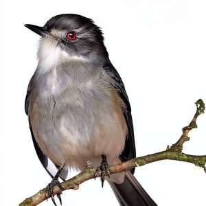 Teen Health Spanish Kindle Book Unlimited Reading-0