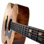 Hal Leonard Fingerpicking Guitar Songbook Kindle Edition-0